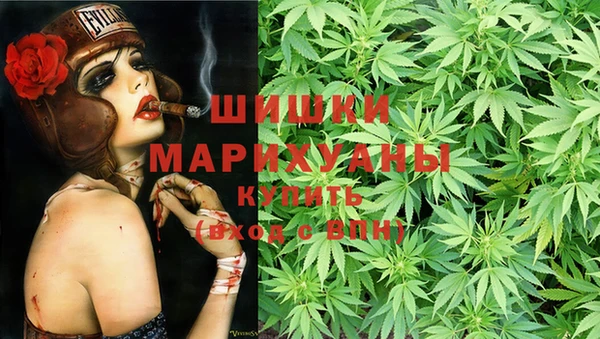 индика Слюдянка