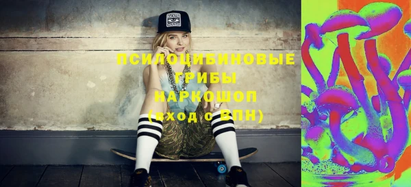 винт Снежногорск