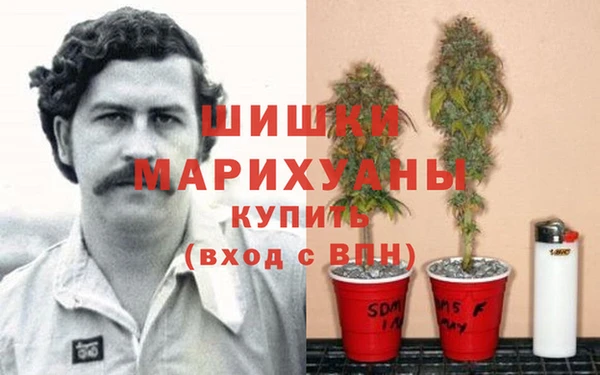 винт Снежногорск