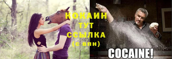 прущие грибы Сосновоборск